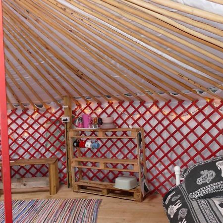 Alder Yurt Wych Elm Glamping Helston Exterior photo