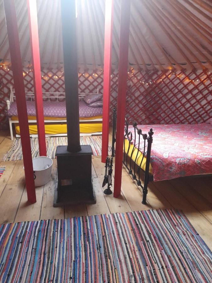 Alder Yurt Wych Elm Glamping Helston Exterior photo