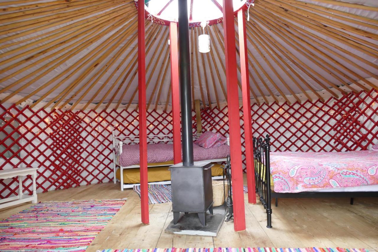 Alder Yurt Wych Elm Glamping Helston Exterior photo