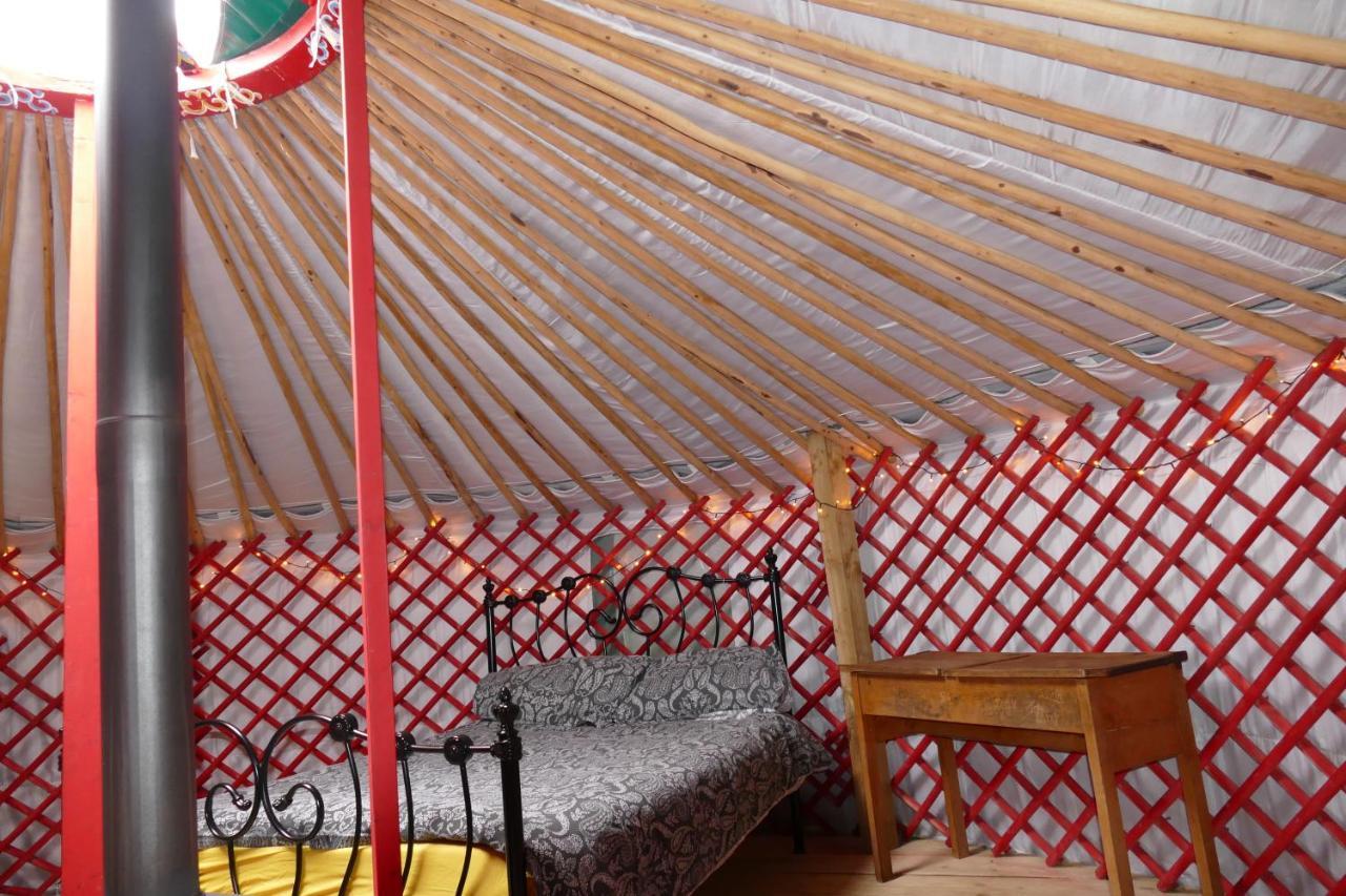 Alder Yurt Wych Elm Glamping Helston Exterior photo